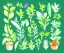 Placeholder: Vector plants and herb set illustration. Watercolor illustration color