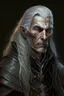 Placeholder: ancient grizzled, gnarled elf mage, he has long, grey hair streaked with black and sharp cheekbones. His eyes are black. He wears weathered medieval leather clothes. he is lean and tall, with pale skin, full body with thigh high leather boots