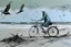 Placeholder: a long-legged lean black-grey monk with ((beak-shaped heads)) (wearing white khiton) riding a bike in front of a spider wreck on a radioactive beach, side view, acrylic painting, minimal art, centered, wild sparse brushstrokes, amazing verticals, great parallels, low bleak colors of gray, pale green, blue and black, excellent negative space contrasts