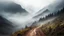 Placeholder: trail through the misty mountains