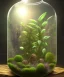 Placeholder: a glass jar terrarium filled with plants, highly detailed, digital art, sharp focus, trending on art station, illustration