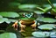 Placeholder: one cozy frog in a pond and it is raining