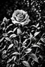 Placeholder: An image of a lone rose in a garden filled with weeds. This image is intended to be colored in by an adult, so use the colors black and white accordingly