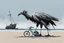 Placeholder: a long-legged lean black-grey cybervulture with ((beak-shaped heads)) (wearing white khiton) on a bike in front of a boatwreck on a radioactive beach, front view, acrylic painting, minimal art, centered, wild sparse brushstrokes, amazing verticals, great parallels, low bleak colors of gray, blue and black, excellent negative space contrasts