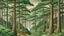 Placeholder: forest in the style of MIYAJIMA Reiji