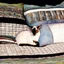 Placeholder: beautiful spring patchwork in the style of Raymond Briggs, Laurel Burch, Randolph Caldecott, Picasso. Modifiers: extremely detailed fantasy oil on canvas very attractive imperial colors fantastic view 4K 3D focused
