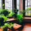 Placeholder:  table lush house plants in pot looking out of a window to a crowded city with many textbooks on the table japan