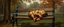 Placeholder: master oil painting by Rembrandt, fat kobold sleeping on a bench in the park
