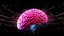 Placeholder: Comic style, bare transparent pink human brain flying trough the universe, background galaxy's
