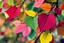 Placeholder: pop art pixels 1000 images english leaves in spring abstract damian hirst