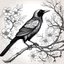 Placeholder: crow drawing with branches with flowers background just outlines