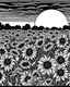 Placeholder: A field of sunflowers bathed in the warm glow of the setting sun, with bees buzzing around collecting nectar for colouring pages black and white with line art,no blur,no grayscale, no black backdrop.