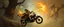 Placeholder: master oil painting by Rembrandt, magic trike man, gremlin brown, final battle forgotten realms