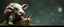 Placeholder: uncle fester snail cow