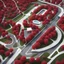 Placeholder: Park , Zaha Hadid style architecture, ultra quality, hyper detailed, digital art, 8k 3D, aerial view, maximalist, red and white color