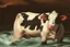 Placeholder: cow swimming in deep water by Caravaggio