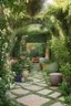 Placeholder: A tiny secret Mediterranean garden