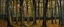 Placeholder: A black maple tree woods painted by Alan Sorrell