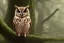 Placeholder: OWL IN A TREE