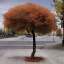 Placeholder: Street tree