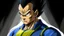 Placeholder: Vegeta from Dragon Ball