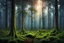 Placeholder: clearing in a fantastic forest at dusk it is raining