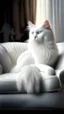 Placeholder: White cat, sitting on a sofa hdr