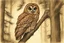 Placeholder: Brown Tawny Owl, pine tree, forest, autumn, dark night highly detailed intricate intricate details high definition crisp quality beautiful lighting pencil sketch watercolor dramatic lighting Deep shadows Warm colors warm light