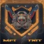 Placeholder: Fortinet