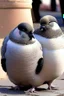 Placeholder: Chubby and cute pigeons