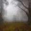 Placeholder: Photorealistic sleepy FLORIDIAN misty foggy ravine creek