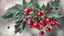 Placeholder: Red Berries and holly