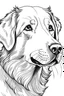 Placeholder: A line art of dog (Golden Retriever). make this black and white and a little bit filly.