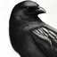 Placeholder: black crow in blood