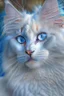 Placeholder: Attractive white cat with blue eyes and white feathers around it