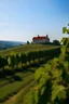 Placeholder: Winery on the top of the hill in the sunny day. In the middle of the vineyards. a label for the red wine the place is in Romania, only line and shadows