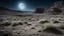 Placeholder: A serene, otherworldly landscape on the moon, where the ground is covered in a fine, silvery dust that sparkles under the light of distant stars. Strange, glowing plants grow among the rocky terrain, and mysterious, ancient ruins hint at a long-lost civilization. Award-winning photograph, 80mm focal length, rule of thirds.