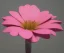 Placeholder: Flower 3d rendering