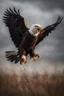 Placeholder: A captivating image of a attacking angry Bald Eagle in its natural habitat., poised on a vast field with a stark contrast between light and dark, conveys a powerful sense of tension. In this expertly captured photograph, the predatory animal stands tall, its muscular frame oozing strength and dominance. The sharpness of every detail accentuates the creature's primal aura, from its razor-sharp teeth and piercing eyes to its sleek, glossy fur. This mesmerizing image.