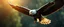 Placeholder: cyber enhanced eagle