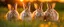 Placeholder: cute rabbits, hudson river school, renaissance, impressionist, baroque, romanticism, realism, eautiful, vivid, professional, extremely detailed, stunning, wondrous, fantastic,Utopian, Dystopian,Cinematic, Fantasy, Elegant,Magnificent,Sunset Photo at Golden Hour, Extreme Close-Up Shot, humbleness