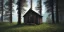 Placeholder: abandoned cabin between 2 mountains, raining, grass, trees, lake, high contrast, best quality, 8k, hight detailed, 3d, render, lumion, shooting star, intricate,