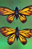 Placeholder: spider monarch butterfly hybrid