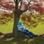 Placeholder: old man sleeping by maple tree