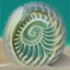 Placeholder: portré sivatagi homok, hogy a por néz ki, mint egy forgószél alakú fa napfény geometrical fractal shell, nautilus regular logarithmic spiral geometrically developed Fibonacci, translucent,