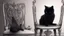 Placeholder: A black cat sitting on a chair in a room.