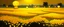 Placeholder: A yellow field with glowing lanterns painted by Zhang Lu