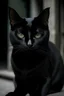 Placeholder: Un gato negro