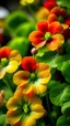 Placeholder: Create a high-quality, realistic photo of vibrant nasturtium flowers in a natural setting. The winning photo will capture the true essence of the flowers with a focus on realism and detail. Use your photography skills to bring out the natural beauty of the nasturtium flowers in a way that truly conveys their splendor.