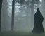 Placeholder: The camera pans through the dense, misty forest, the sound of twigs snapping and leaves rustling filling the air. A figure emerges from the shadows, hooded and cloaked, their face obscured by the darkness. FIGURE: (voiceover) The prophecy has been fulfilled. The chosen one has come. Cut to: INT. KING'S THRONE ROOM - DAY The figure enters the throne room, approaching the throne where the KING sits, his face obscured by shadows.